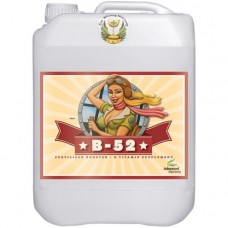 Advanced Nutrients B-52 20L